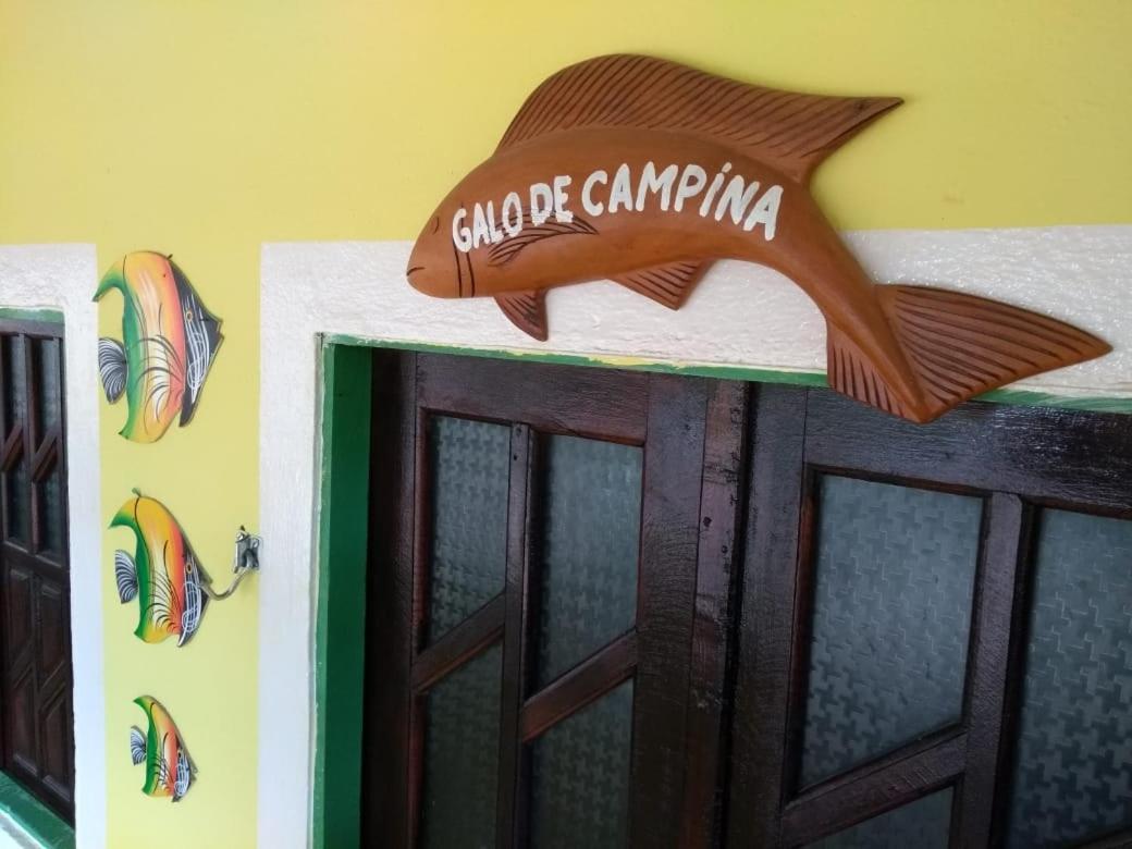 Pousada Vale Encantado Sao Miguel dos Milagres Luaran gambar